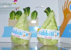 Rijk Zwaan's new Cabbisi product.